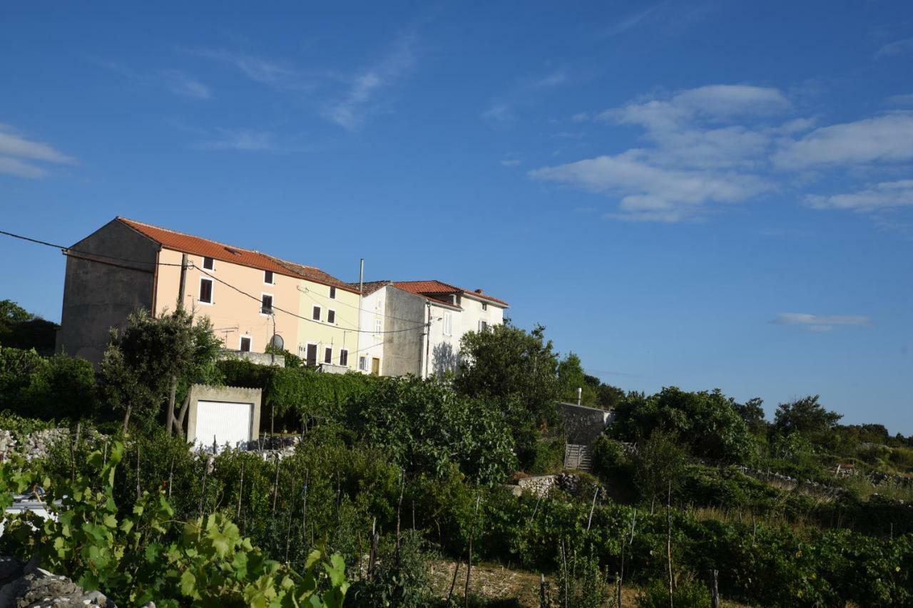 Accommodation Lily Vrana  Exterior foto